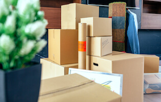 cardboard box retailers