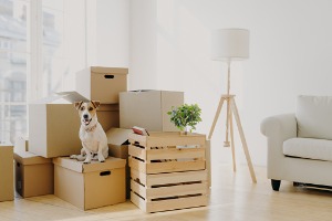 The Best Companies Selling Reusable Moving Boxes